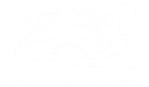 Mundhongo. Cultivo de Hongos Comestibles, Villa de Merlo, San Luis, Argentina