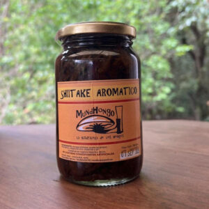 02 Shiitake Aromático