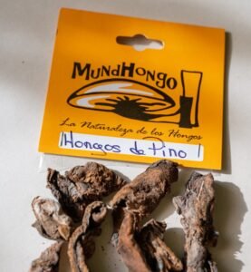 Hongos de Pino