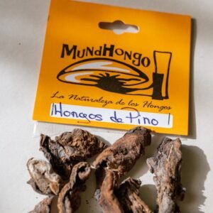 Hongos de Pino