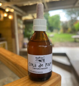 Tintura Madre Cola de Pavo