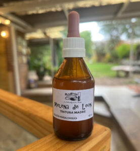 Tintura Madre de Melena de León