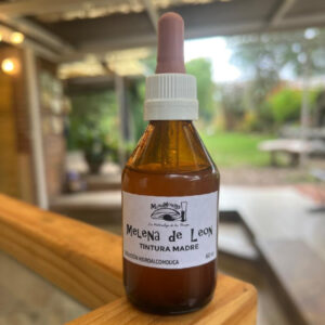 13 Tintura Madre de Melena de León