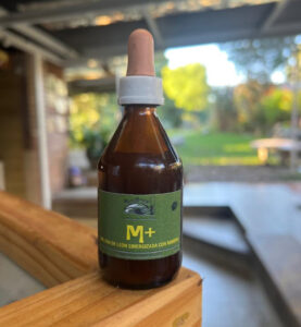 Tintura Madre de Melena de León Sinergizada con Romero