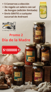 Promo 2 Dia de la Madre