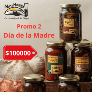 Promo 2 Dia de la Madre