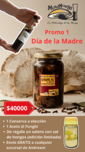 Promo 1 Día de la Madre
